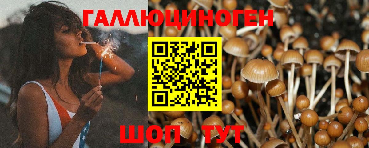 Йошкар-Ола  Псилоцибиновые грибы Cubensis  Вход с VPN 